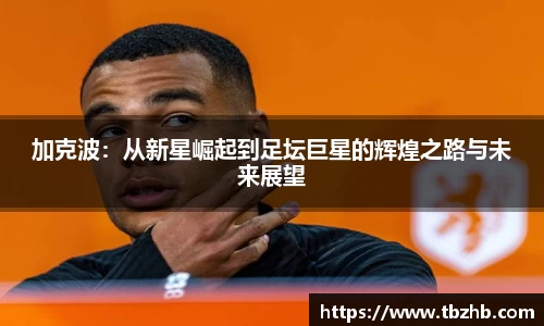 NBA直播免费在线观看无插件